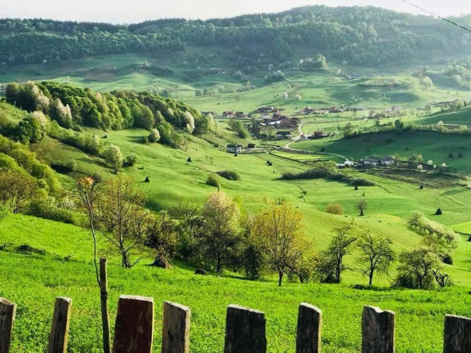 Pensiunea Valea Toplitei Rosia Екстер'єр фото